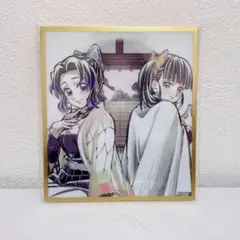 胡蝶しのぶ　栗花落カナヲ 鬼滅の刃 無限城編 WEBSHOPくじ アクリル色紙2