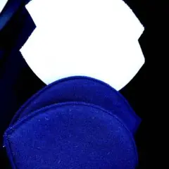 Item thumbnail for item f3669dff-d41e-4b7e-bbb6-bf4f037e3d9b