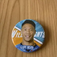 Item thumbnail for item de79d4c1-0d35-4a0e-8d3f-2909725ad8c5