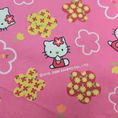 ⑬ハローキティ 花柄 デニム生地 2000年 激レア 平成レトロ