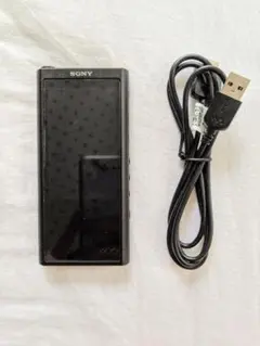 2026年最新】nw-zx1 ジャンクの人気アイテム - メルカリ