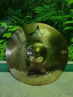 Item thumbnail for item 8bd101ab-84ea-4e61-bcac-c1430e78eba7