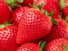 もも様専用ページ