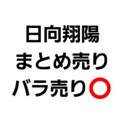 日向翔陽 まとめ売り バラ売り⭕