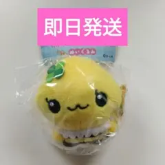 【新品未開封】しずくちゃん ちいさなしずくのようせいたち。ハニーちゃん