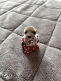 Item thumbnail for item 2aefdc97-dbb7-4867-8d4c-34de738dd88f