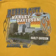 Item thumbnail for item 4f5fa00e-dba2-4c21-beed-de65a344115f