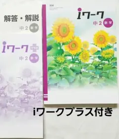 iワーク 中2数学　iワークプラス中2数学　中学2年　高校受験 啓林館