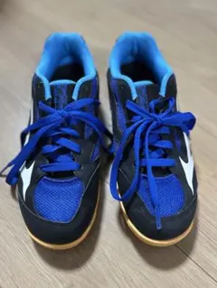 卓球用スポーツシューズ 青/黒