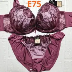 E75 新品未使用 ブラショーツセット 10610 ローズ 脇高 花柄刺繍