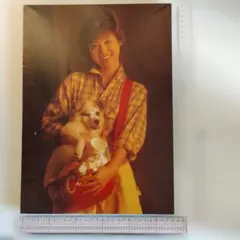 松田聖子　パネルのサムネイル