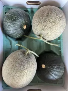 農家直送　　メロン特大大玉サイズ2玉 ミニかぼちゃ2玉入り糖度は十分ありますのサムネイル