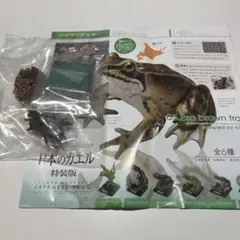 2026年最新】ネイチャーテクニカラー 日本のカエル 特装版の人気