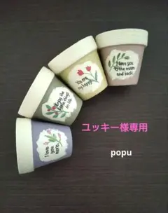 リメイク鉢2号・2.5号セット　多肉植物　リメ鉢　デコパージュ　ガーデニング