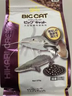 ラム∮プロフ必読∵☆大きいサイズ出品中～様 リクエスト 3点 まとめ商品