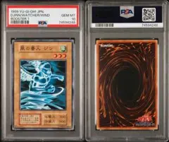 シューティングクェーサードラゴン オーバーフレーム プリズマ PSA10