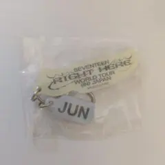 SEVENTEEN RIGHT HERE JAPAN JUN キーホルダー