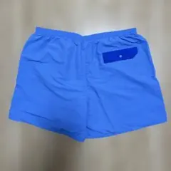 Patagonia baggies ABUNDANT blue L 海外限定