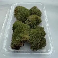 j.j.j.k.o様 リクエスト 3点 まとめ商品