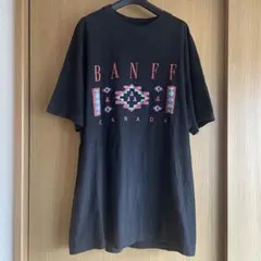 90s 00s ヘインズ ビーフィーティー 鬼フェード 墨黒 ボロ tシャツ 