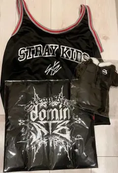 未開封未使用品★straykids dominate アプグレ グッズ３点セット