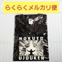 ⭐値下げ中⭐ 北斗の拳 40周年 大原画展 北斗有情拳 蓄光Tシャツ Lサイズのサムネイル