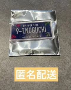 Item thumbnail for item 6b5ddbef-0384-402b-919b-784c8cc74406