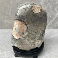 鑑賞石 水石 自然石 木製台座付き 約11cm 山水景石 飾り石 置物 - メルカリ