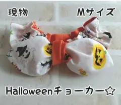 ハロウィン チョーカー Mサイズ