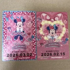 ファンダーランド　パルパルーザ　リゾラ　フリーきっぷ　期限切れ　ミニー