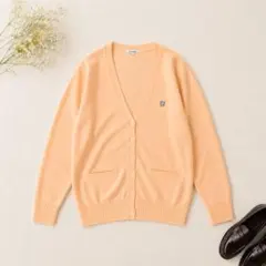 【arCONOMi】制服カーディガン L 春 スクール JK 通学 ピンク