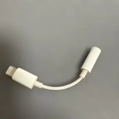 匿名配送Lightning イヤホン　変換アダプタ　純正