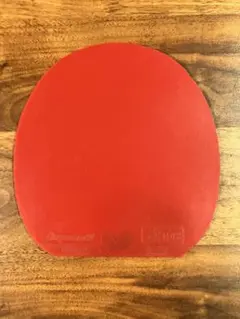 ディグニクス05