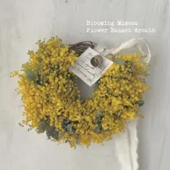 SALE＊満開ミモザの花かごリース＊【季節限定】 №907 ラッピング