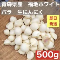 高品質◎青森県産福地ホワイトフレッシュ生にんにく500g ネコポスのサムネイル