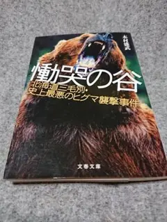2026年最新】ヒグマ牙の人気アイテム - メルカリ
