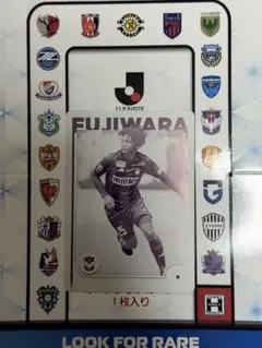2025 Topps Jリーグ アルビレックス新潟 藤原奏哉 1/1 プレート