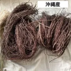 ドライフラワー クジャクヤシ カリオタの実 - メルカリ