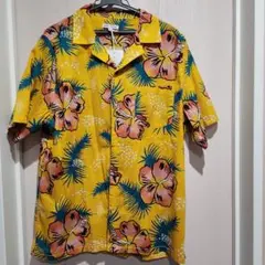 Item thumbnail for item 19a86338-f955-4a0f-9004-52a3b06f35c1