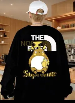 THE NORTH FACE/Supreme ロングスリーブTシャツ