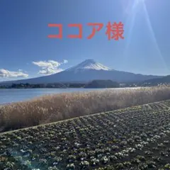 ココア様 2