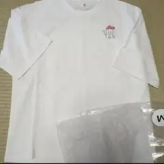 Item thumbnail for item 0dadd51b-d4eb-408f-af34-650a3d1486bb