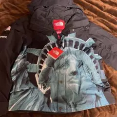 supreme thenorthface