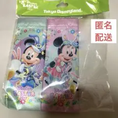 匿名配送　東京ディズニーランド　イースター　2017 巾着　2個セット　レトロ