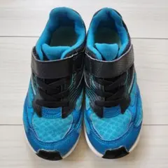 Item thumbnail for item ec8efbd0-0527-43cd-807d-ae4497db9ee0