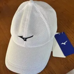 Item thumbnail for item 26b60162-3cb9-4ee5-bce1-b270e9c8335d