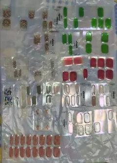 オホーラ　ネイルシールセット 多色デザイン