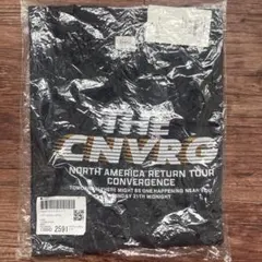 新品　新作　アングリッド　ungrid tシャツ ツアーロゴルーズTee