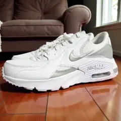 エアマックスエクシー　CD5432-121 新品　28.0