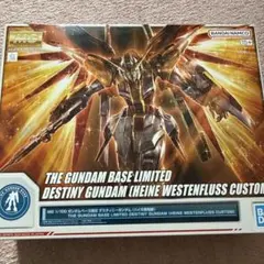 2026年最新】MG ハイネ専用デスティニーガンダムの人気アイテム - メルカリ